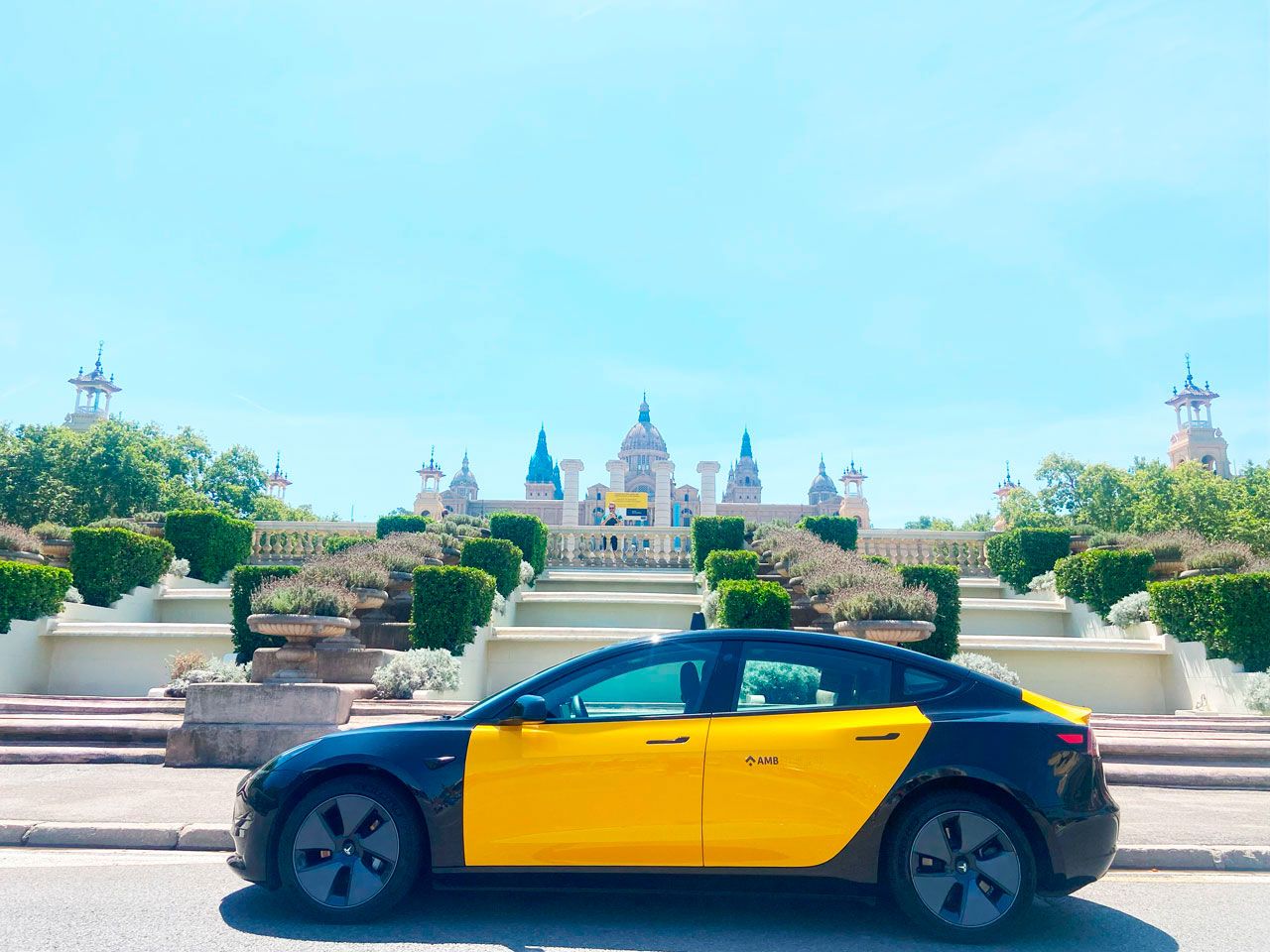 Taxi VIP Barcelona - Tesla